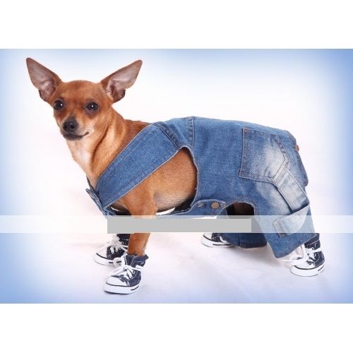 Calças Denim para Cachorros