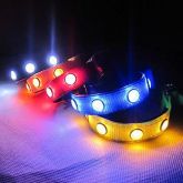 TPU LED Collar Luz seguro para animais de estimação